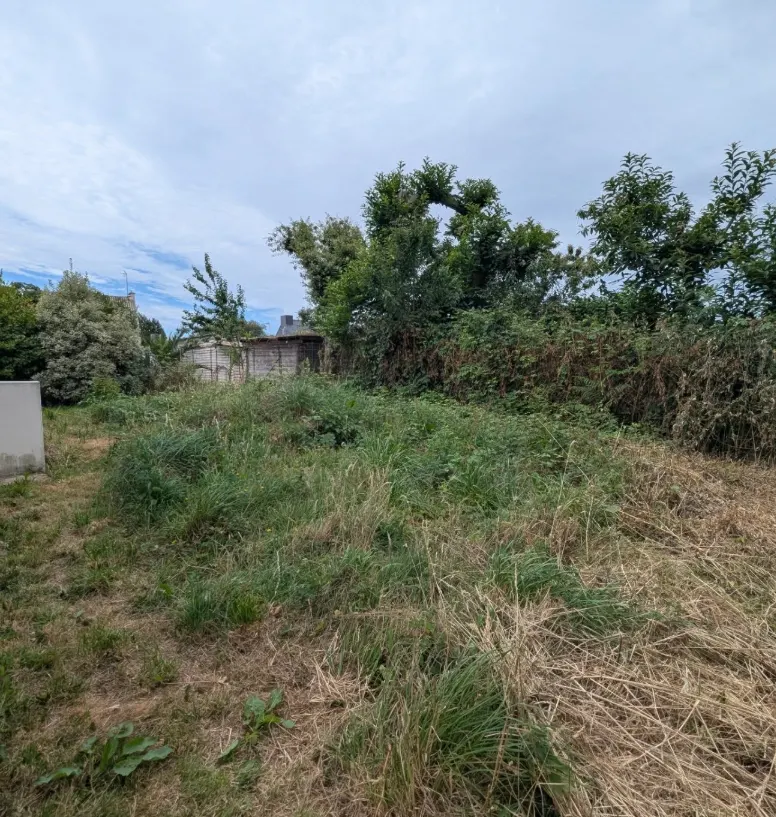 Aménagement complet d'un jardin - avant travaux